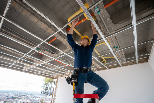 Best Affordable Plumbing Services  in Lely Resort, FL