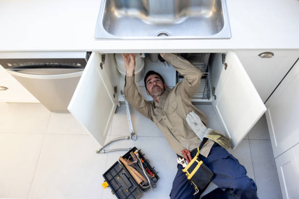 Best Water Softener Installation  in Lely Resort, FL