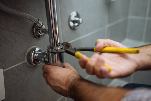 Best Plumbing Inspection Services  in Lely Resort, FL